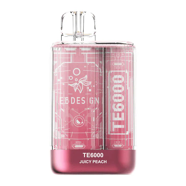 Elfbar TE 6000 Puffs | 50mg Nic Disposable | Type C Rechargeable